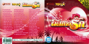 ผิดทางรัก_mp3